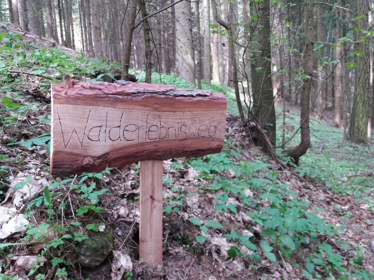 Ferienwohnungen Lichtenegger Kamp Exteriör bild
